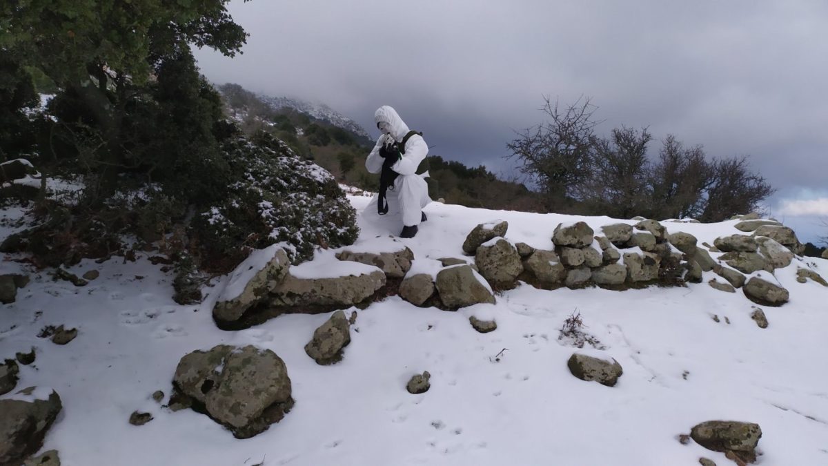 Ένοπλες Δυνάμεις