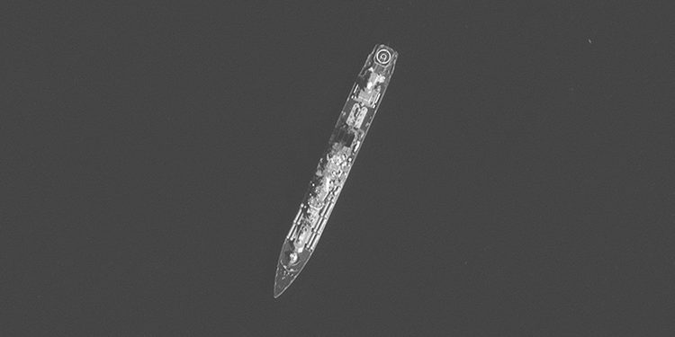 Στρατηγός Κωσταράκος - Moskva