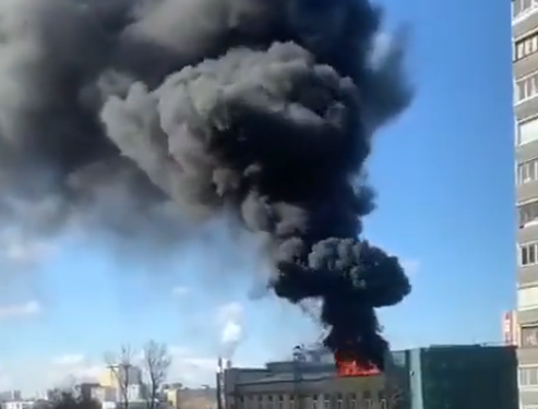 Μπέλγκοροντ