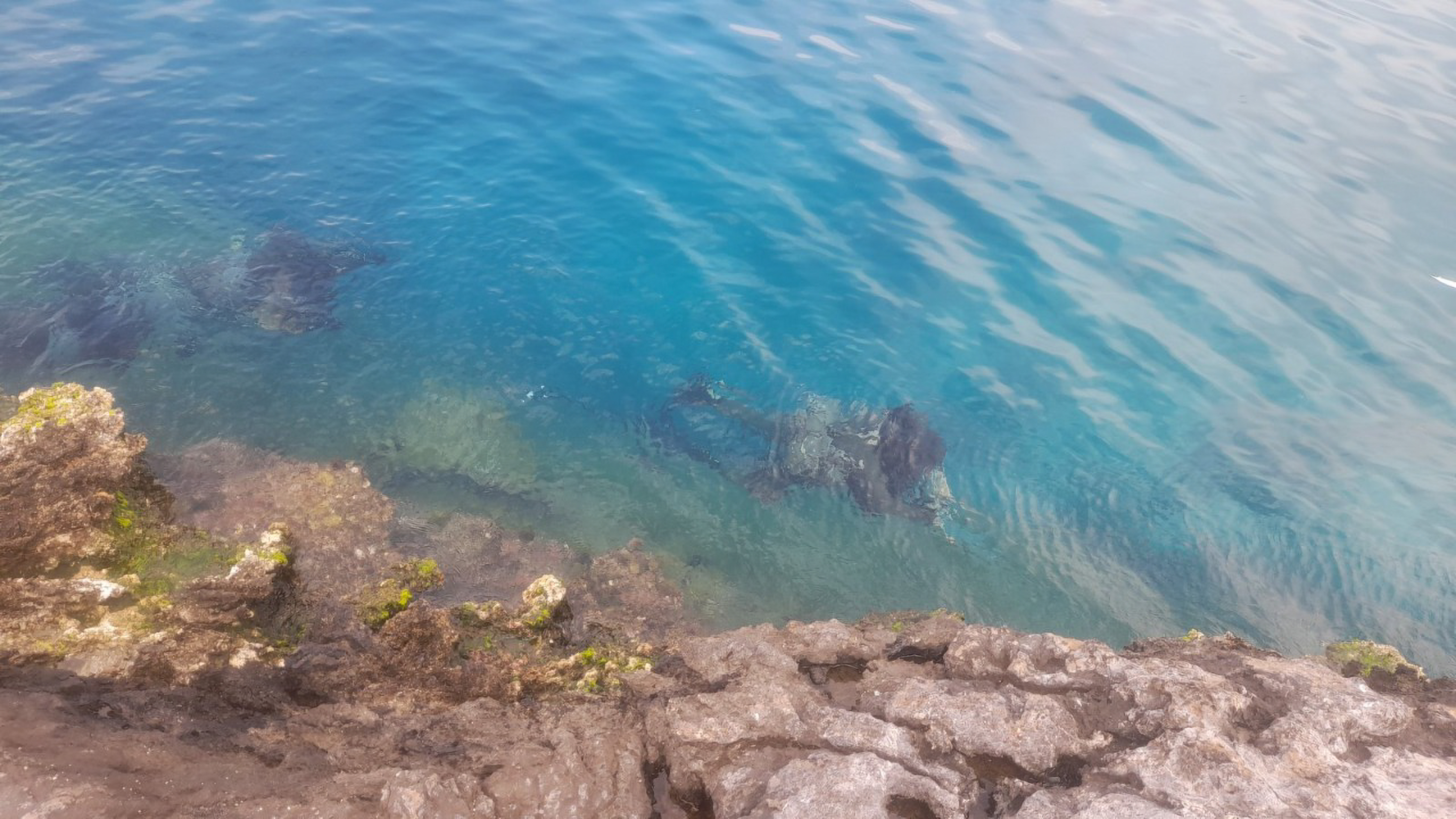 Trojan Footprint - 22