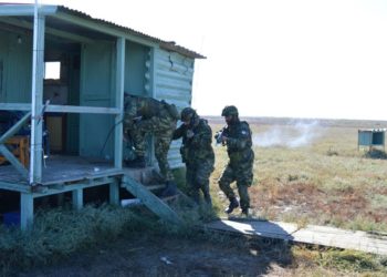 Εθνοφύλακες