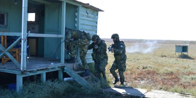 Εθνοφύλακες