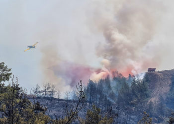 Τουρκία - πυρκαγιές