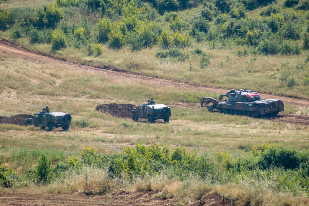 ΧΡΥΣΟΜΑΛΛΟ ΔΕΡΑΣ - 22