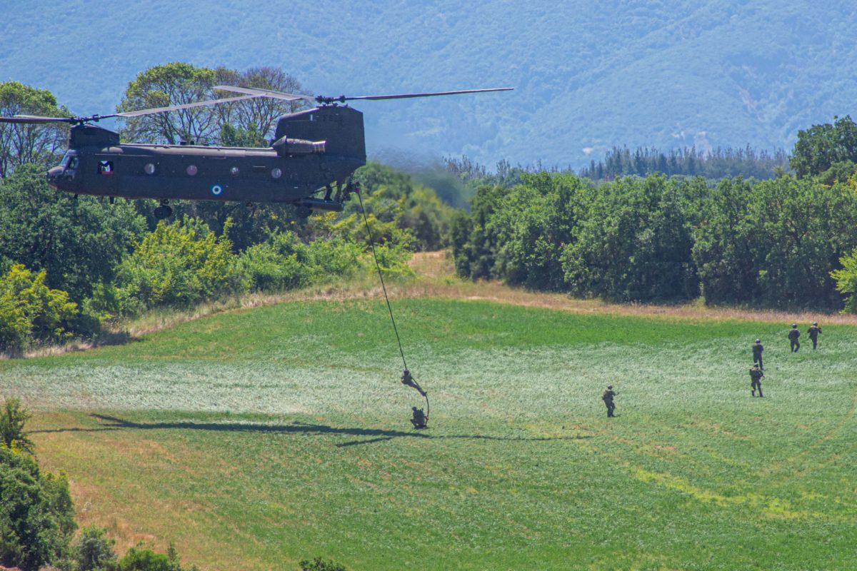 ΧΡΥΣΟΜΑΛΛΟ ΔΕΡΑΣ - 22