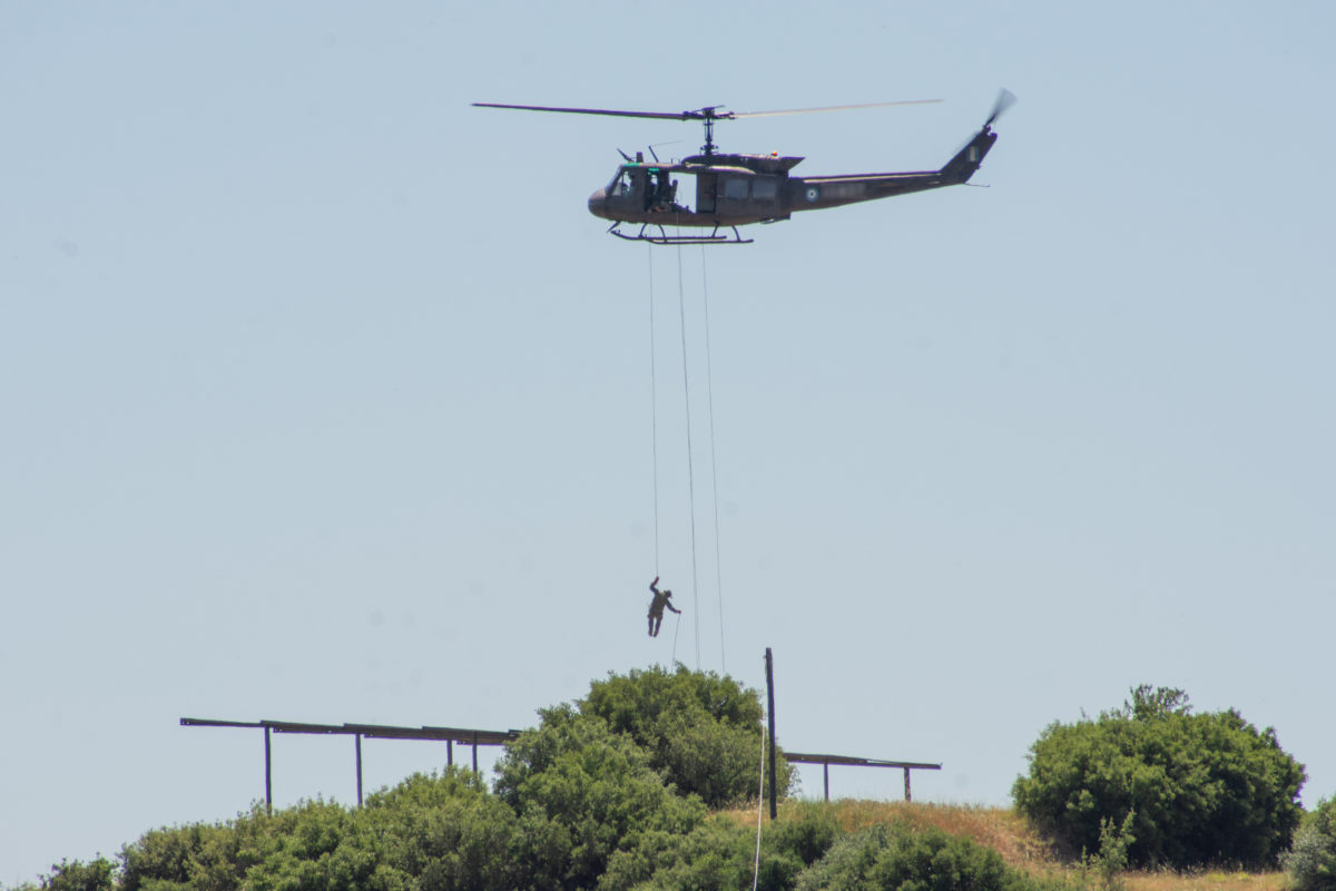 ΧΡΥΣΟΜΑΛΛΟ ΔΕΡΑΣ - 22