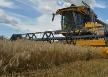 Ζελένσκι - Ουκρανία - σιτηρά