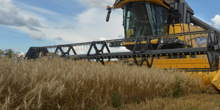 Ζελένσκι - Ουκρανία - σιτηρά