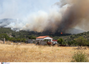 Ένοπλες Δυνάμεις