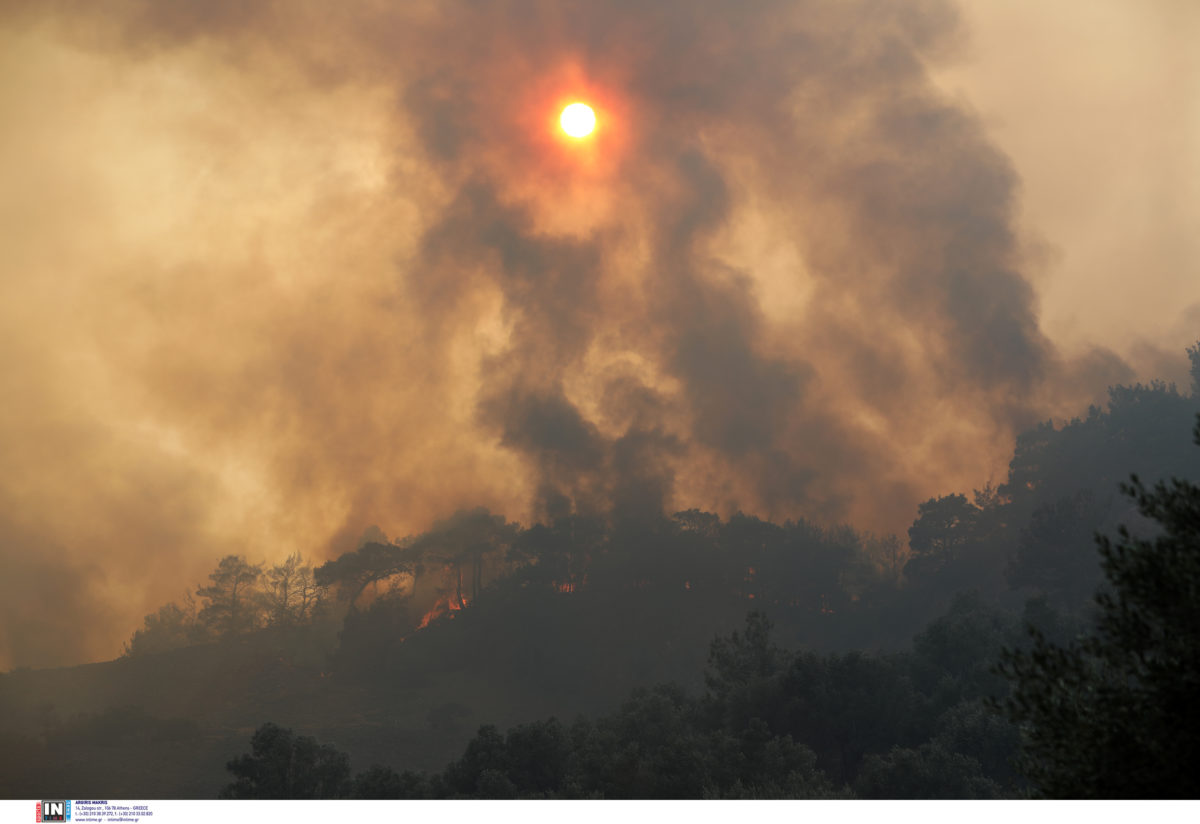 αναζωπυρώσεις