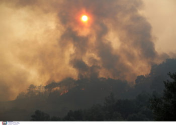 αναζωπυρώσεις