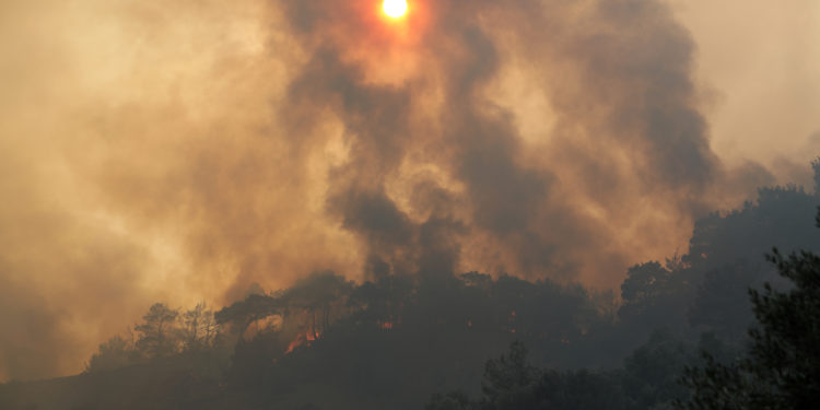 αναζωπυρώσεις