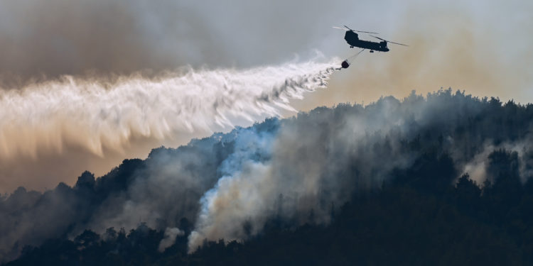 Φωτιά στη Δαδιά: Επιχείρηση να «περικυκλώσουν» τις φλόγες με αντιπυρικές ζώνες