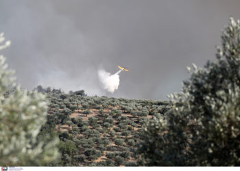 Αναγκαστική προσθαλάσσωση Air Tractor που επιχειρούσε στη Νέα Πέραμο