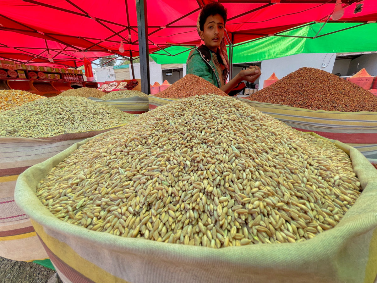 Ρωσία - σιτηρά