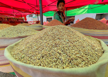 Ρωσία - σιτηρά