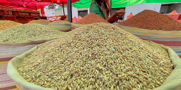 Ρωσία - σιτηρά