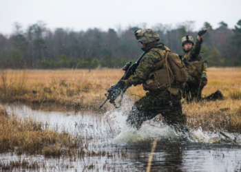 Πεζοναύτες