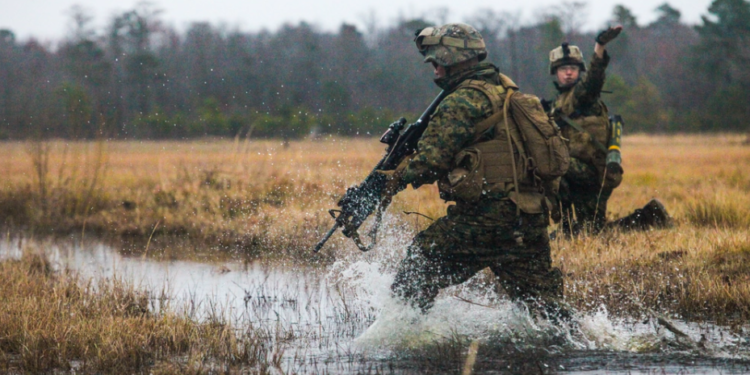 Πεζοναύτες