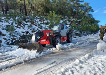 Ένοπλες Δυνάμεις - Δευκαλίων