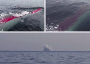 Βόρεια Κορέα