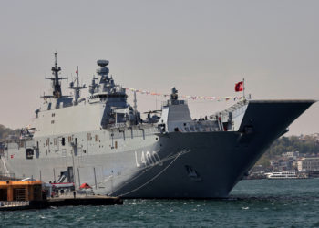 Θαλασσόλυκος