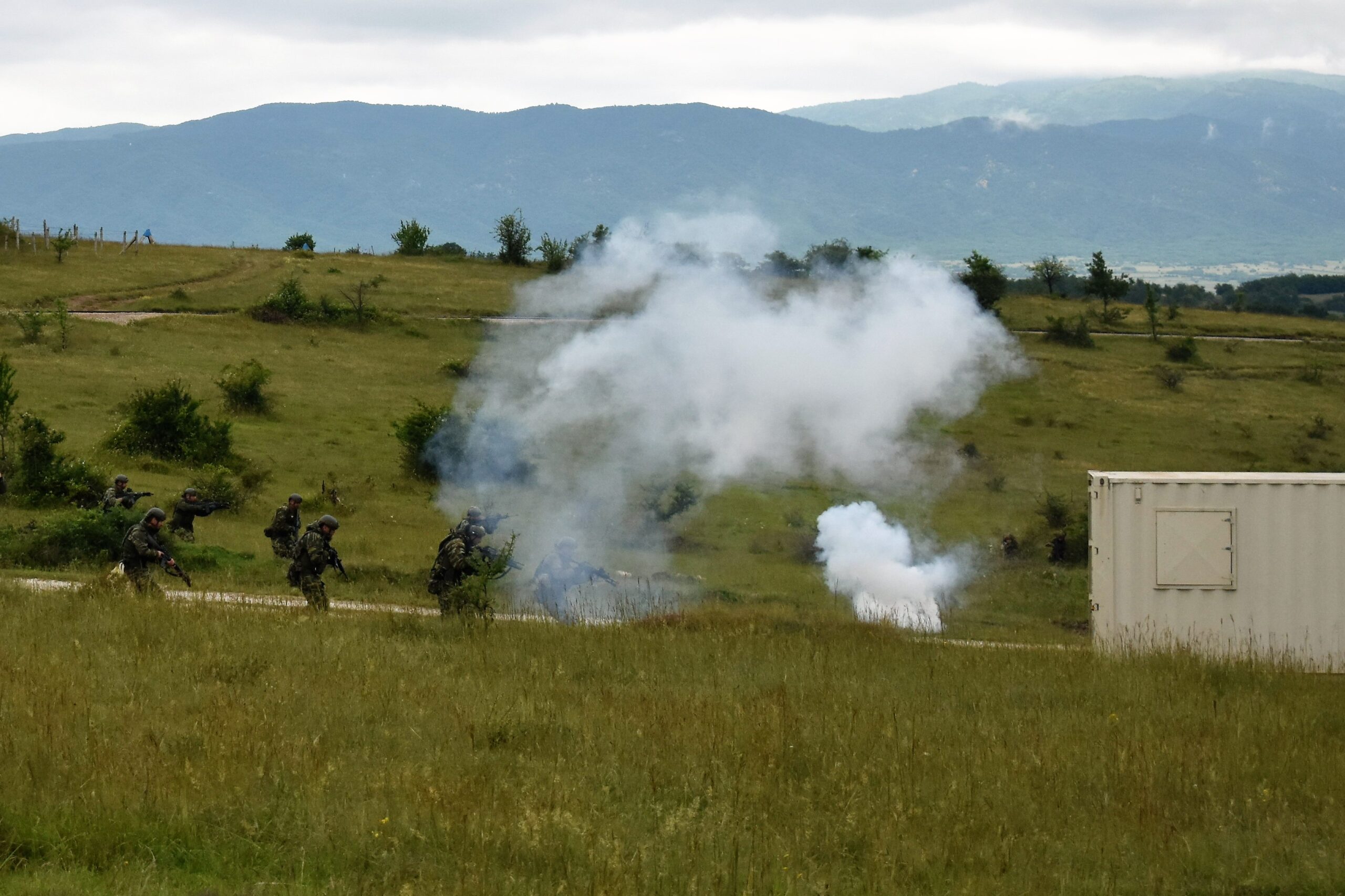 «PLATINUM WOLF 23»