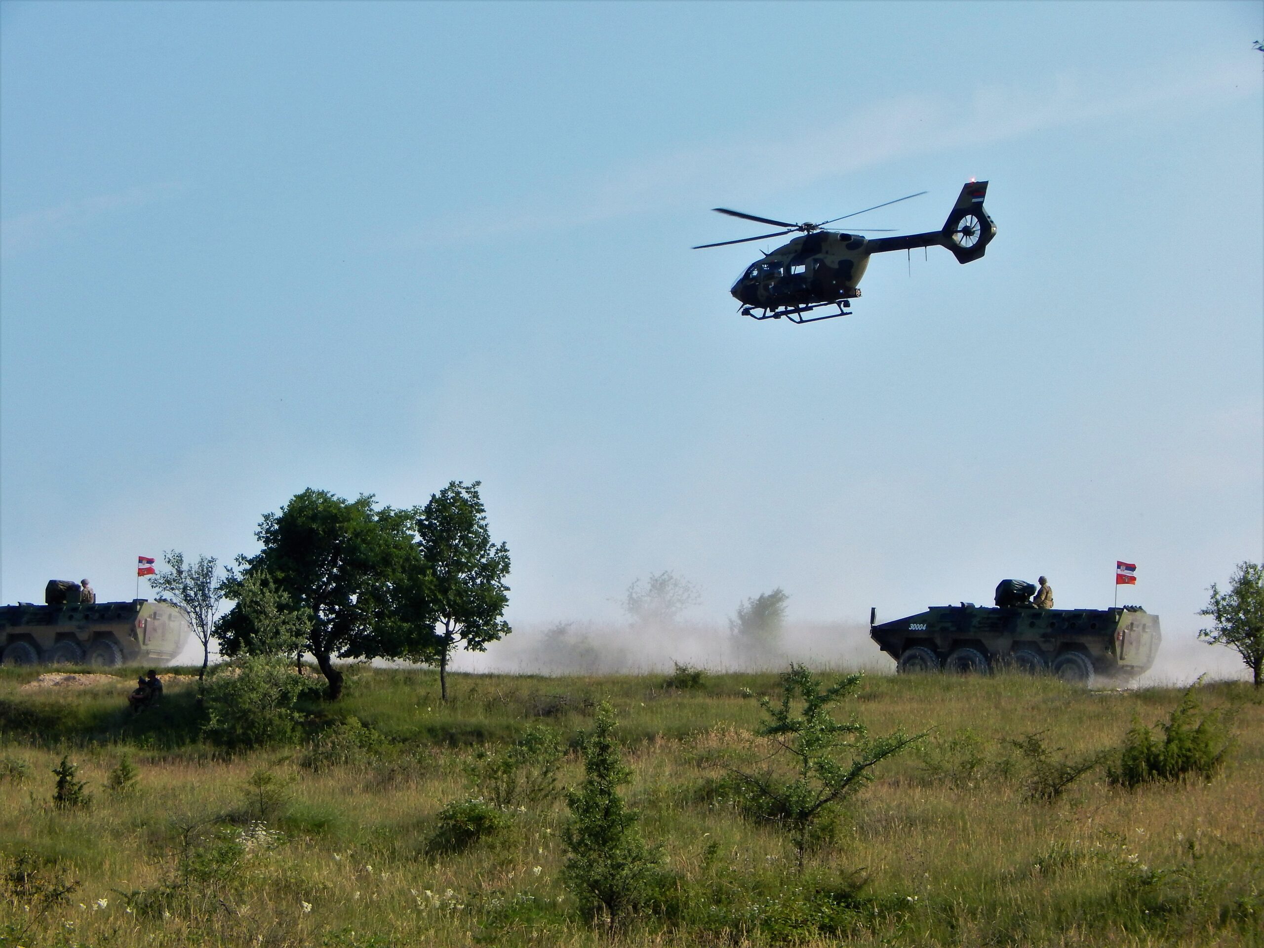 «PLATINUM WOLF 23»