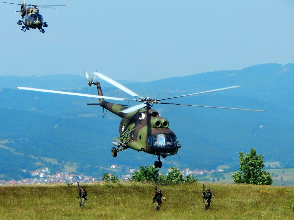 «PLATINUM WOLF 23»