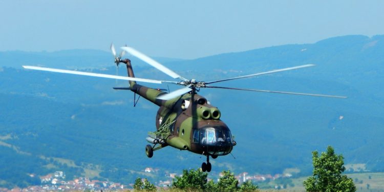 «PLATINUM WOLF 23»