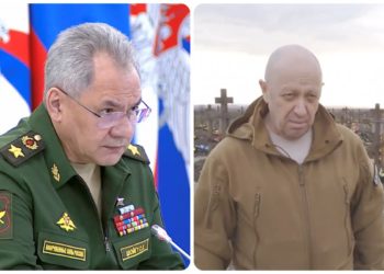 Σοϊγκού - Πριγκόζιν