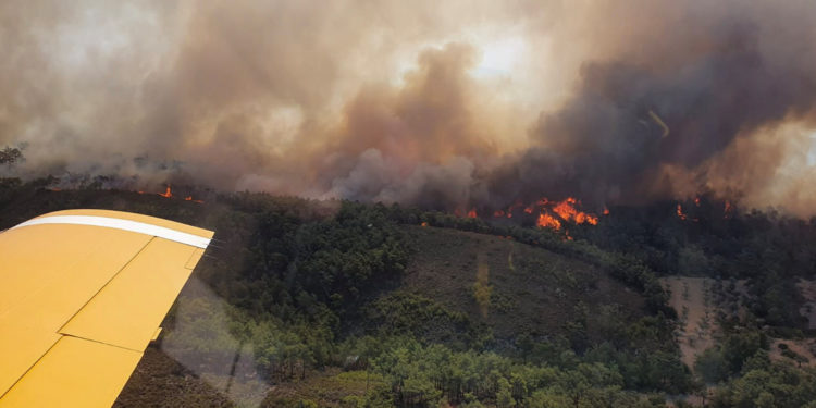 Αναζωπυρώσεις - Ρόδος
