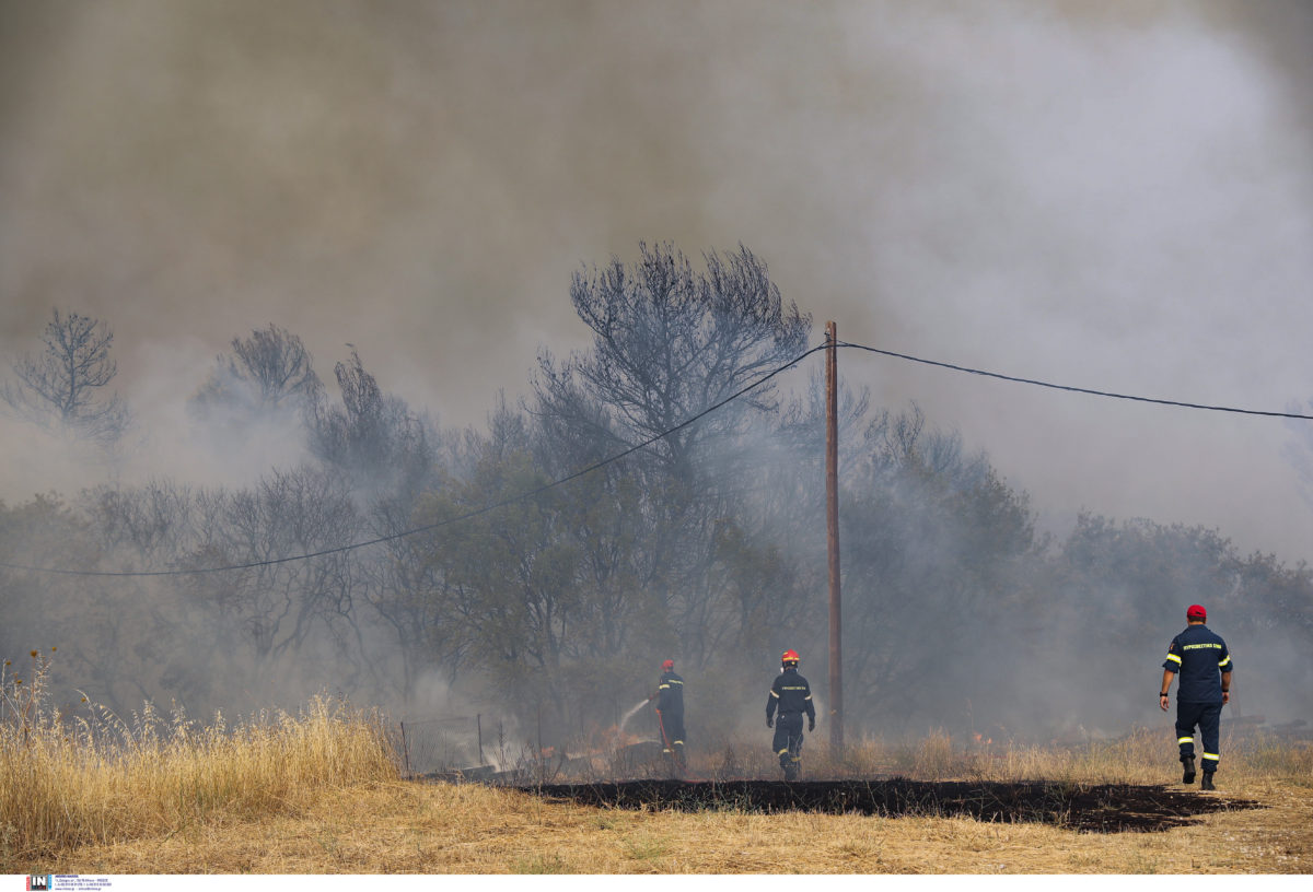 Φωτιά - Τατόι