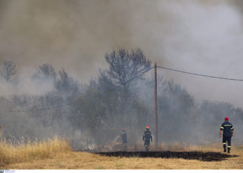 Φωτιά - Τατόι