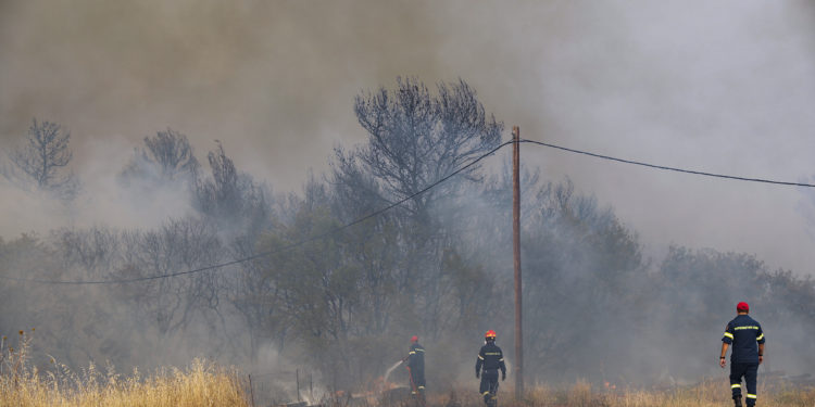 Φωτιά - Τατόι