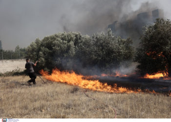 Ένοπλες Δυνάμεις
