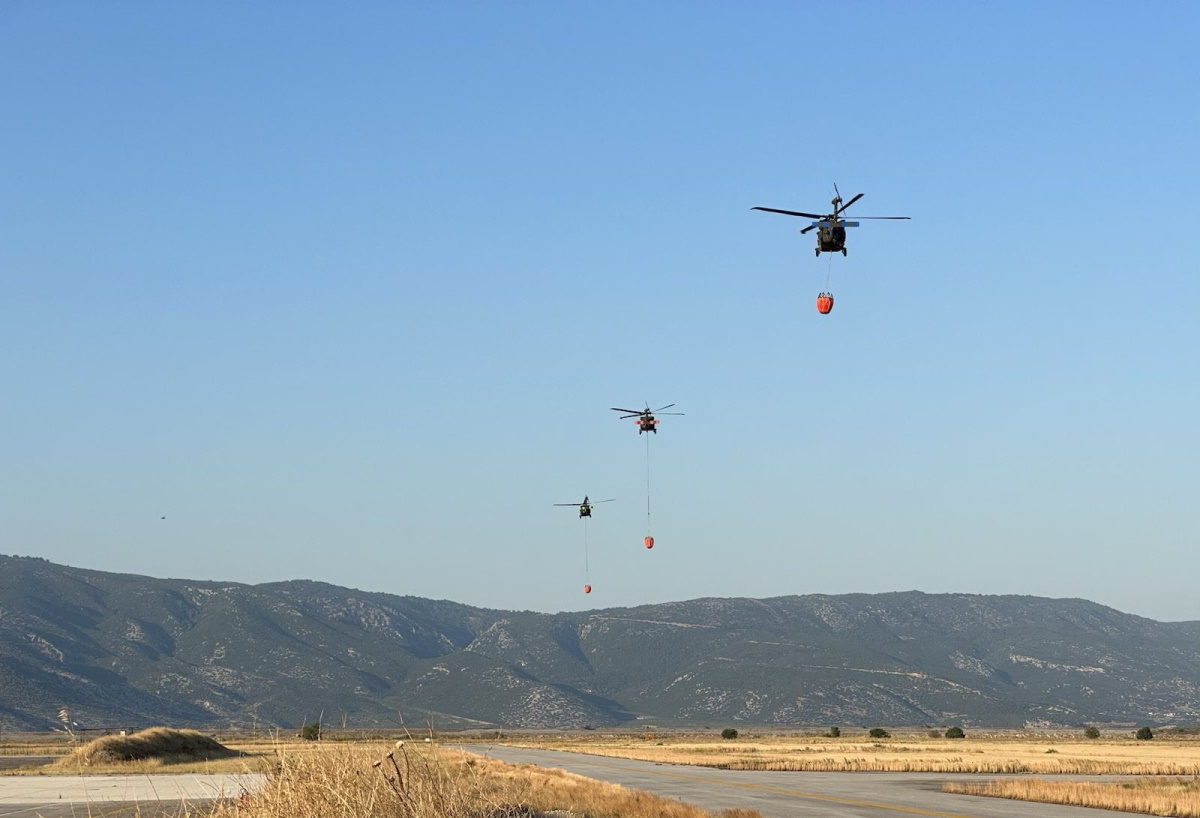 ΓΕΕΘΑ - ΗΠΑ - πυρκαγιές