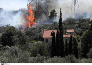 Νέο Κουβαρά