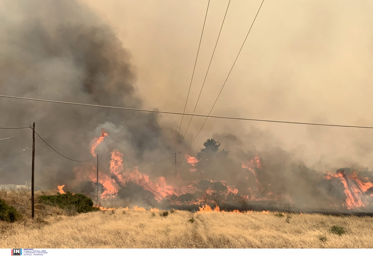 αναζωπυρώσεις