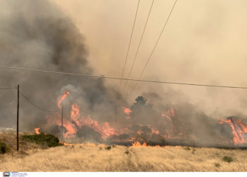 αναζωπυρώσεις