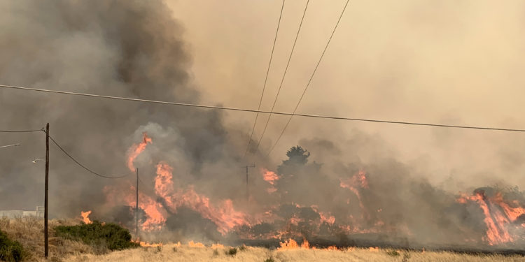 αναζωπυρώσεις