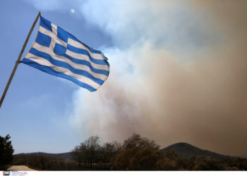 Φωτιές στον Έβρο και στη Ροδόπη: Συνεχίζονται οι επιχειρήσεις κατάσβεσης – «Μάχη» με τις αναζωπυρώσεις