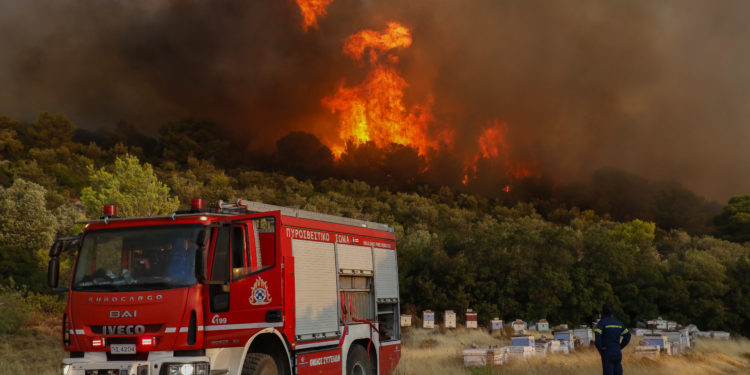 Πάρνηθα - πυρκαγιές