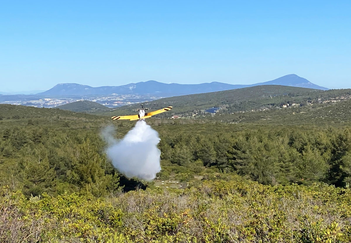 Πυροσβεστικό Σώμα