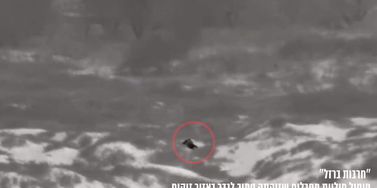 Ισραηλινός Στρατός