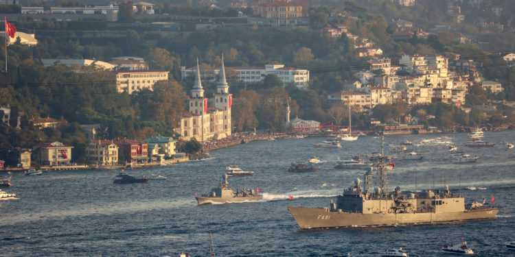 Θαλασσόλυκος