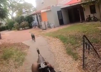 Ασύλληπτη βαρβαρότητα: Άνδρες της Χαμάς εκτελούν σκύλο που τους «εμπόδιζε» να εισβάλλουν σε σπίτι