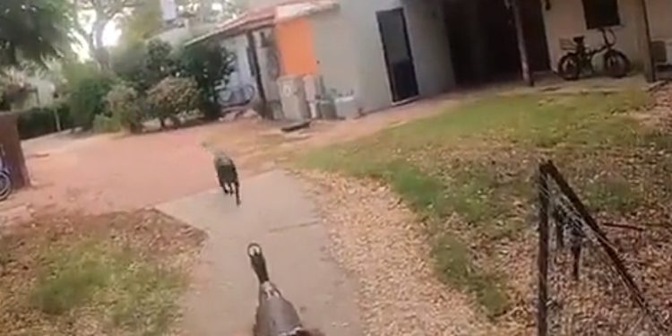 Ασύλληπτη βαρβαρότητα: Άνδρες της Χαμάς εκτελούν σκύλο που τους «εμπόδιζε» να εισβάλλουν σε σπίτι