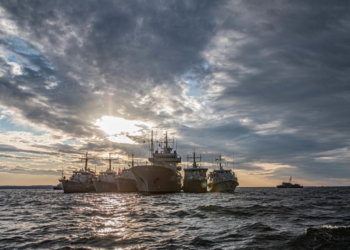 ναρκοθηρευτικά