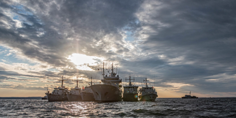 ναρκοθηρευτικά